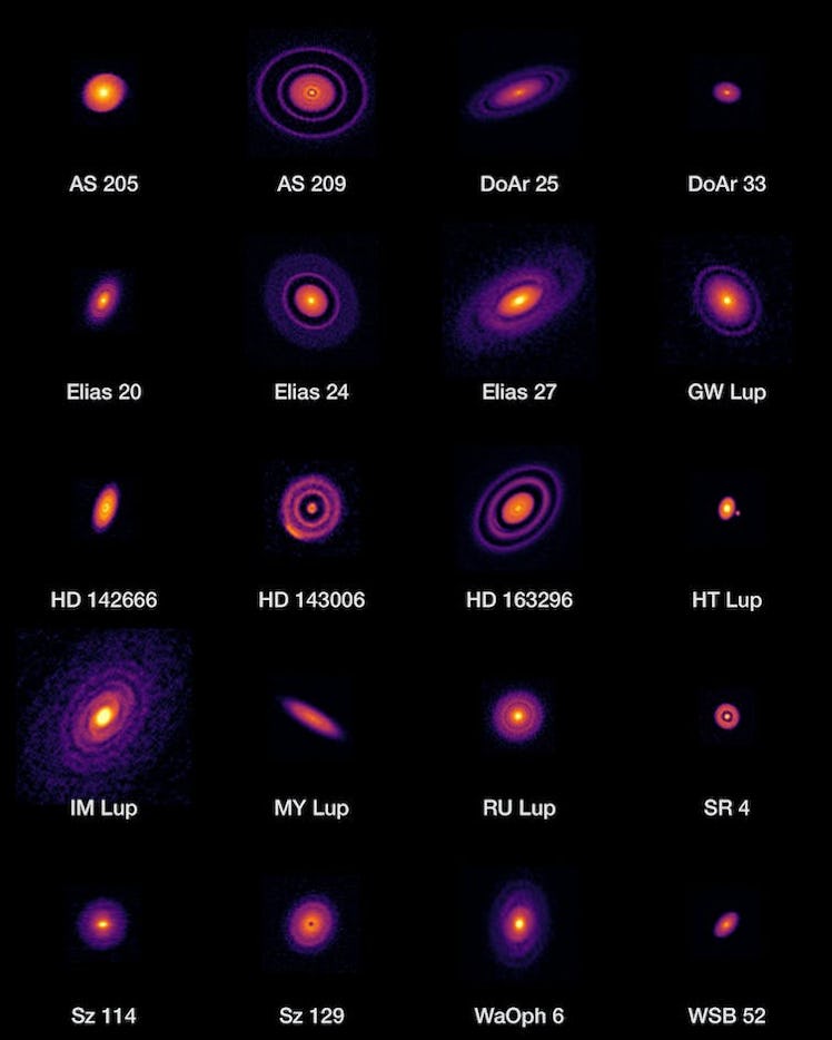 ALMA’s high-resolution images of planet-forming discs.Credit: ALMA (ESO/NAOJ/NRAO),