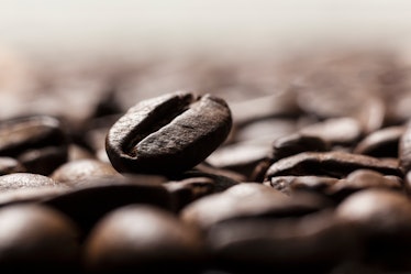 Coffee bean close-up