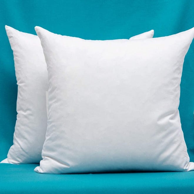 Warmwithann Square Pillow Inserts (2-Pack)