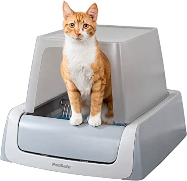 With it’s automatic cleaning feature, this PetSafe option is one of the best litter boxes for messy ...