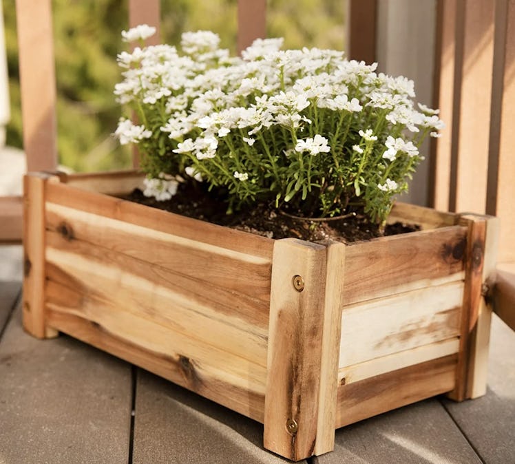 Thirteen Chefs Wooden Planter Box