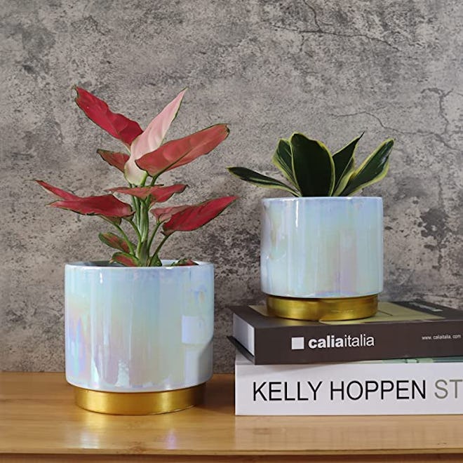 YFFSRJDJ Ceramic Planters (2 Pieces)