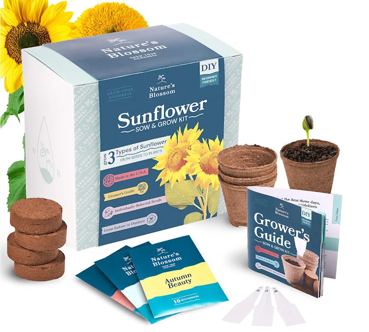 Nature's Blossom Sunflower Plant Kit