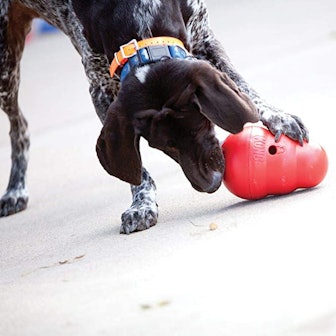 KONG Wobbler Interactive Treat Dispensing Dog Toy