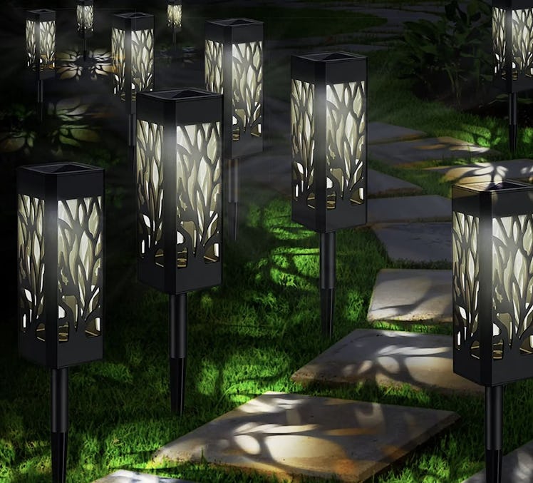 Outdoor Lights & Living Solar Pathway Lights (10-Pack)