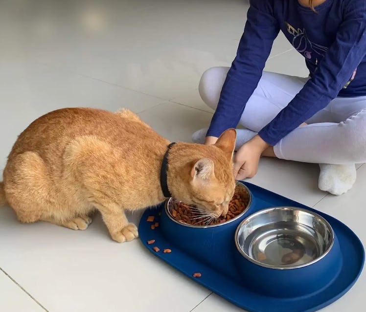 Bonza Spill-Proof Dual Pet Bowls