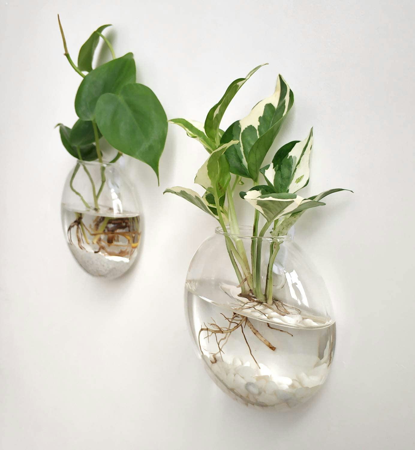 Mkono Wall Hanging Glass Terrarium Planter (2-Pack)