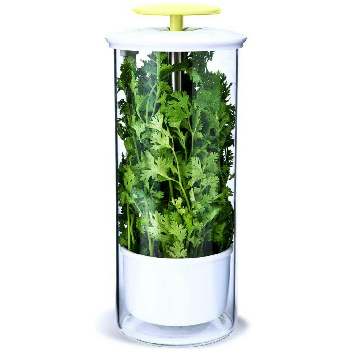 NOVART XXL Herb Saver