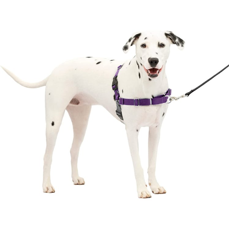 PetSafe Easy Walk Harness