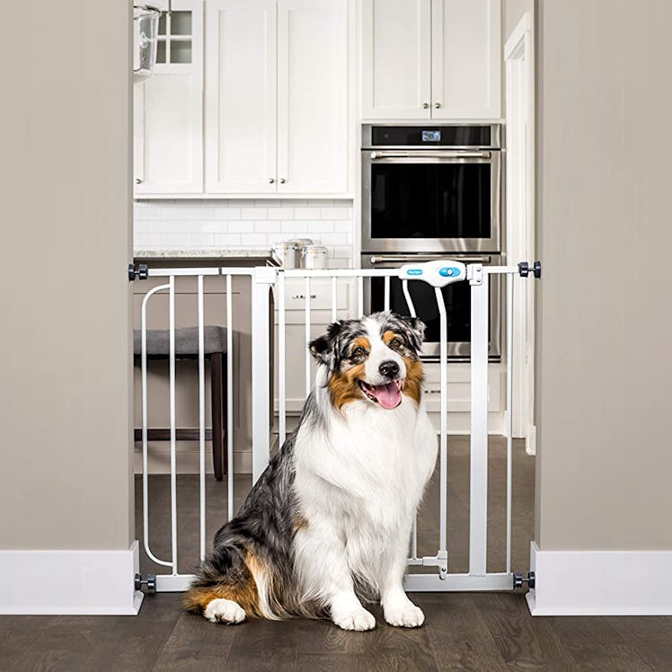 Carlson Extra-Wide Walk-Through Pet Gate