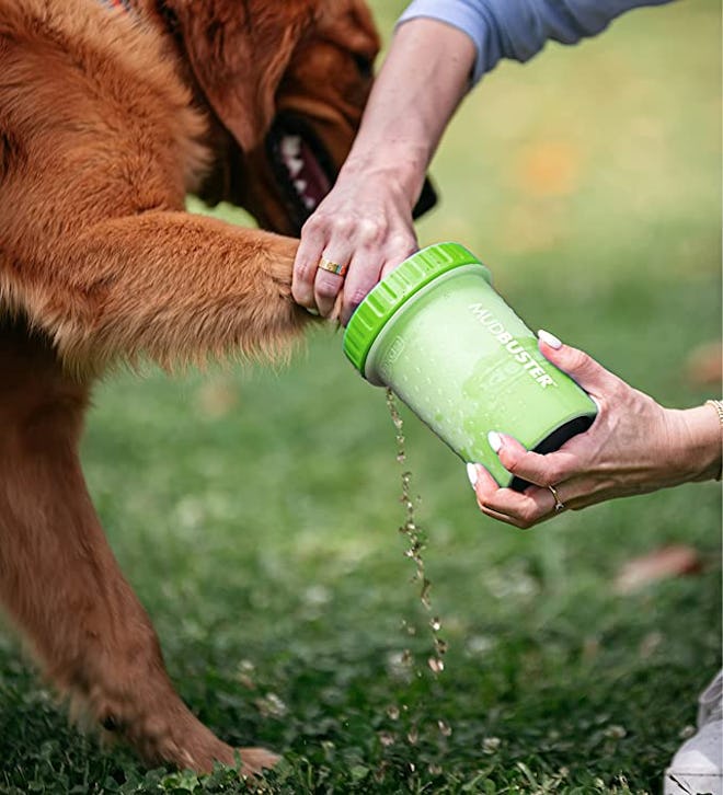 Dexas MudBuster Portable Dog Paw Cleaner