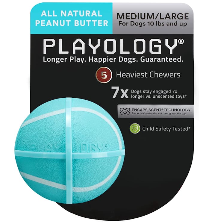PLAYOLOGY Squeaky Chew Ball