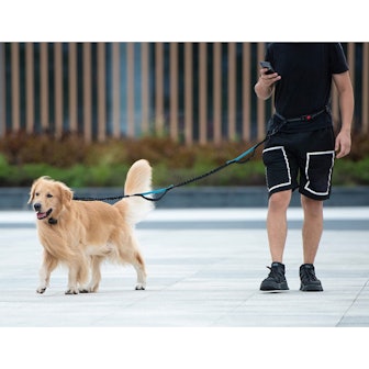 iYoShop Hands Free Dog Leash with Zipper Pouch
