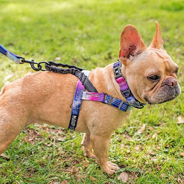 Leash Boss No Pull Dog Harness