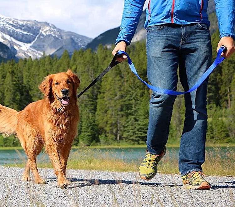 Leashboss Heavy Duty Dog Leash