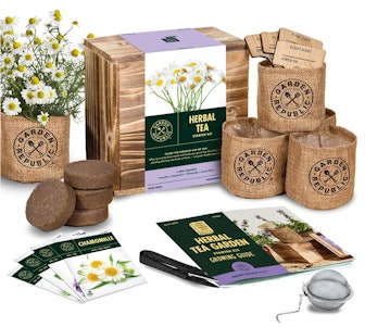 GARDEN REPUBLIC Indoor Herb Garden Starter Kit