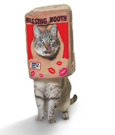 Bootique Kissing Booth Headpiece for Dogs & Cats