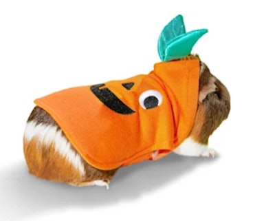 Bootique Jack-o-Lantern Costume for Small Animals