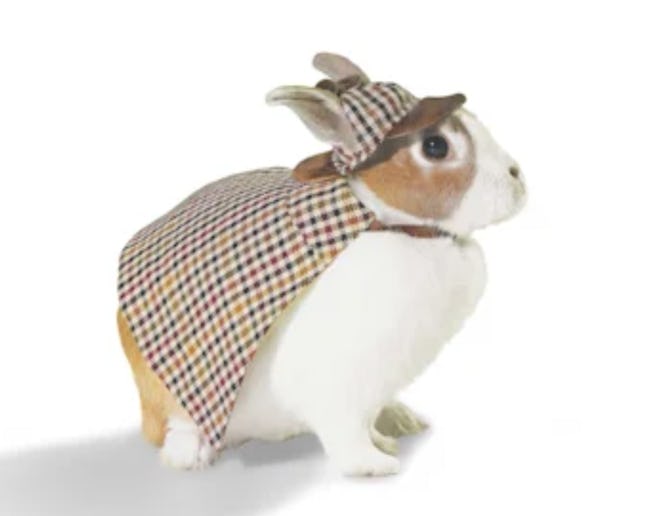 Bootique Detective Costume for Rabbits