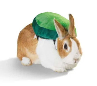 Bootique Tortoise Costume for Rabbits