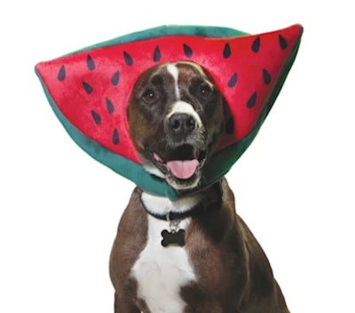 Bootique Watermelon Headpiece for Dogs & Cats