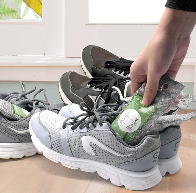 Vitscan Bamboo Charcoal Air Purifying Bag (12-Pack)