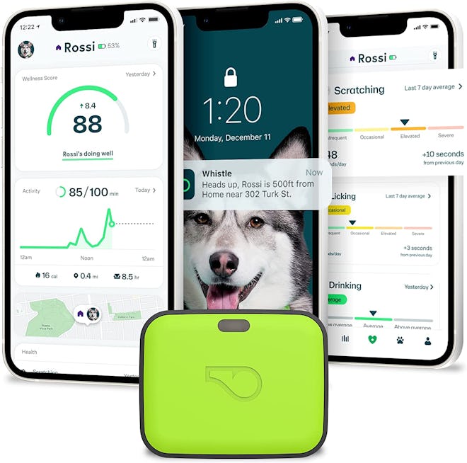 This GPS pet tracker also features detailed health and fitness monitoring to give you extra stats on...