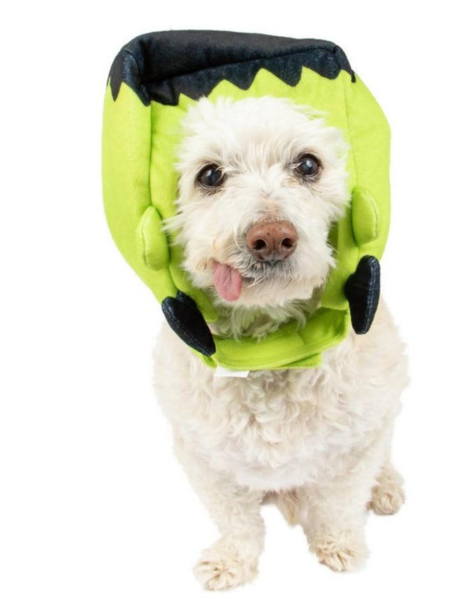 Frankenstein's Monster Dog Hat