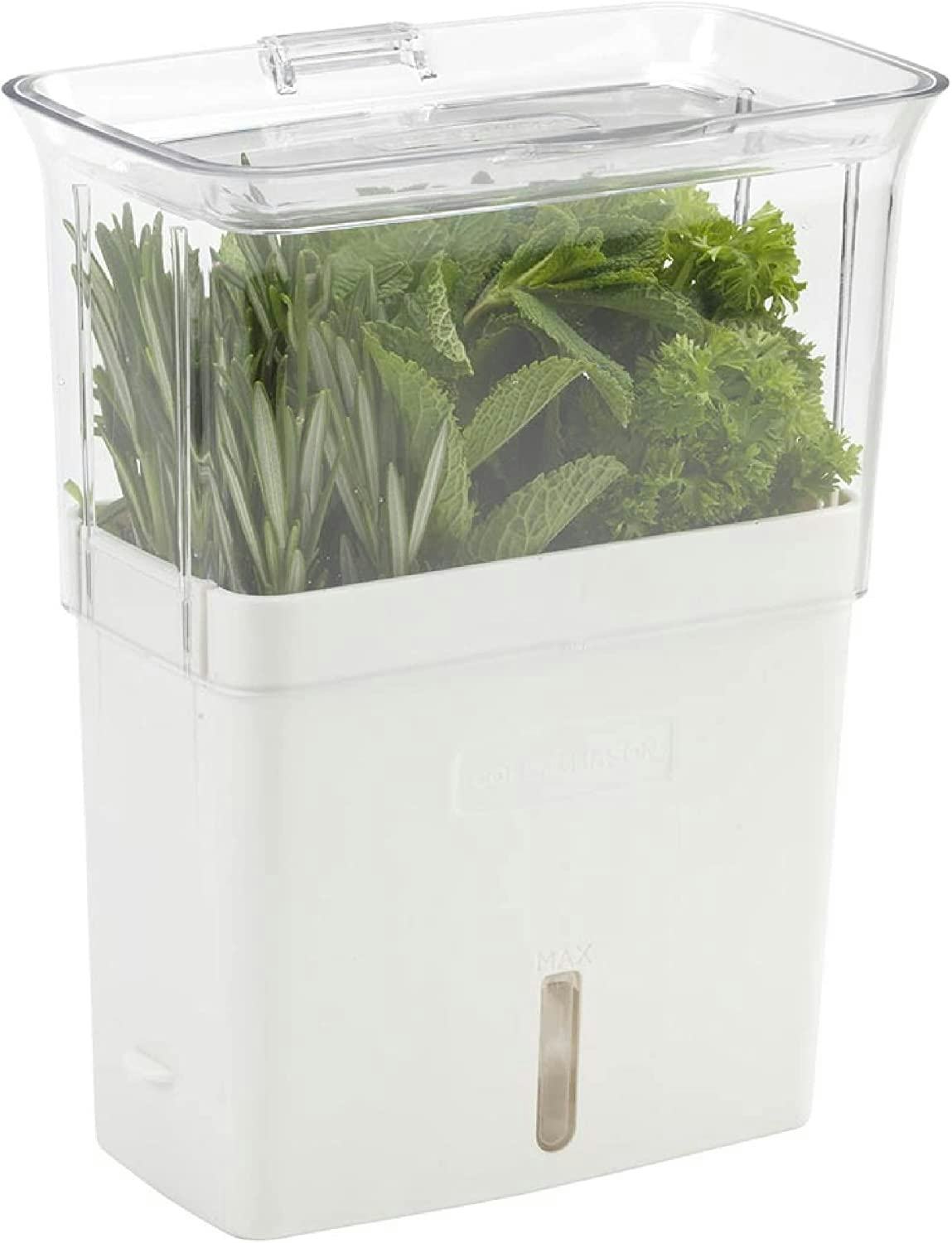 COLE &amp; MASON Fresh Herb Keeper
