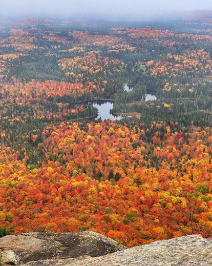 view of adirondacks foliage from high vantage point