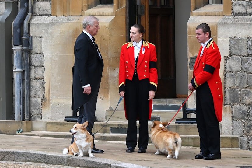 Prince Andrew talking to royal staff members in charge of the corgis at Windsor Castle