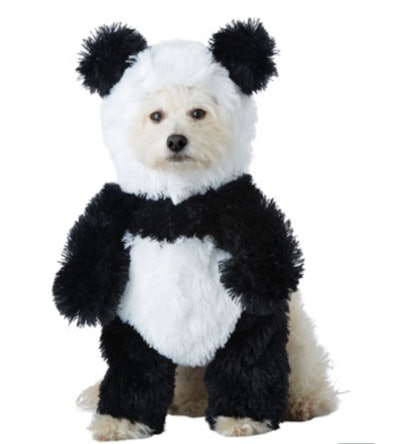 panda dog costume