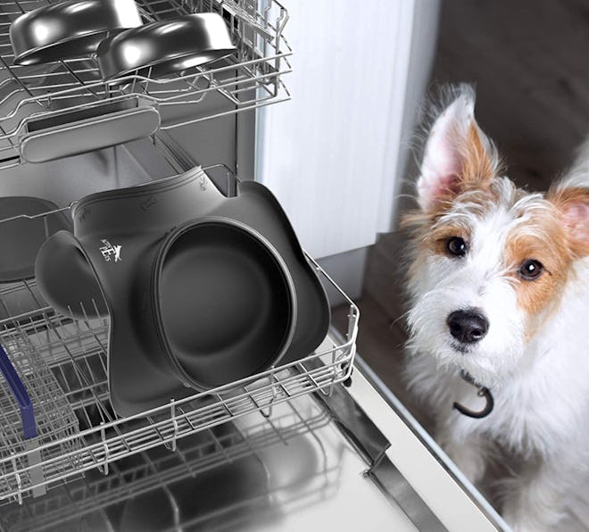 Active Pets Dog Bowl Set