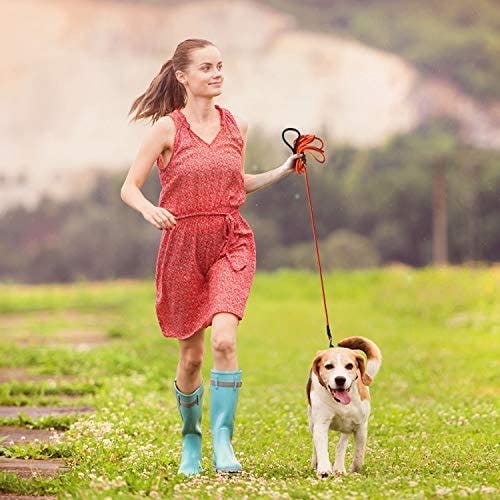 Lynxking Check Cord Dog Leash