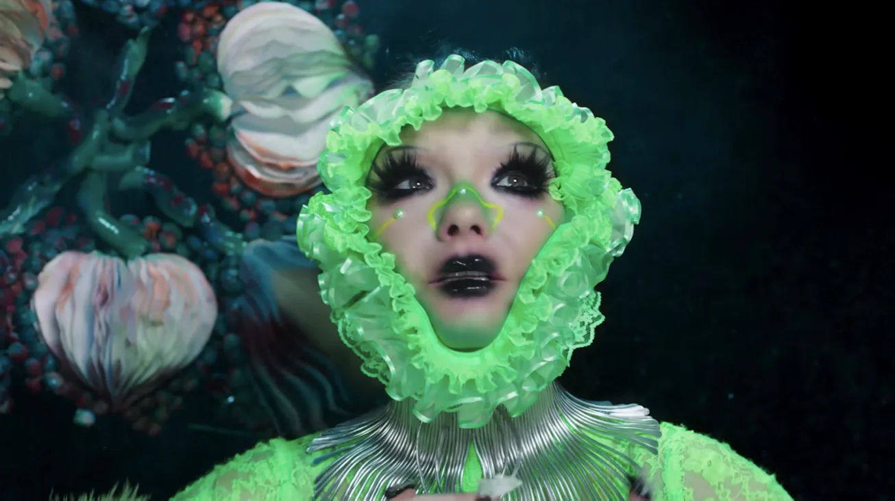 Bjork Rune Björk's Music Video Evolution From