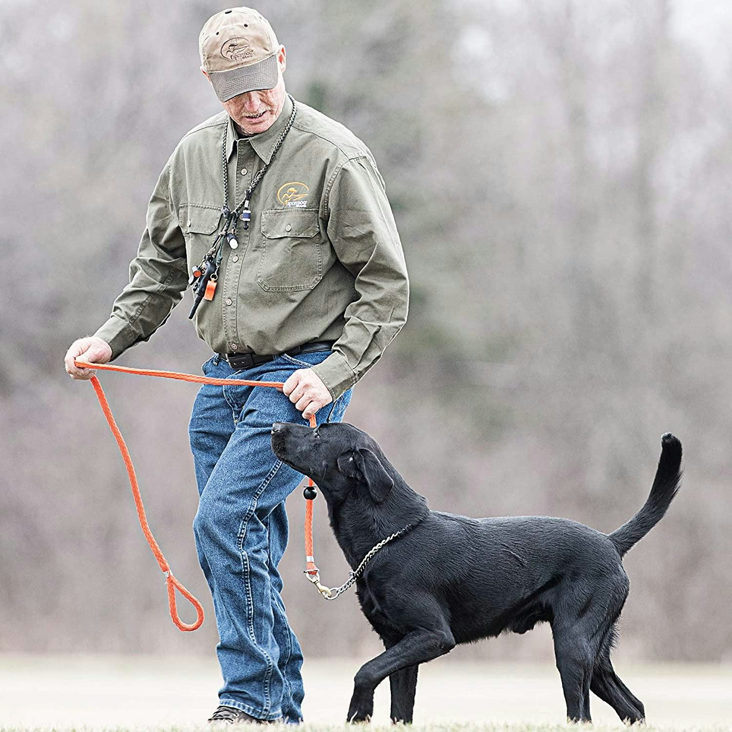 SportDOG Training Whistle