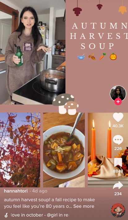 Vegetable soup is a delicious Fall Solstice 2022 recipe on TikTok for enjoying the autumn harvest.