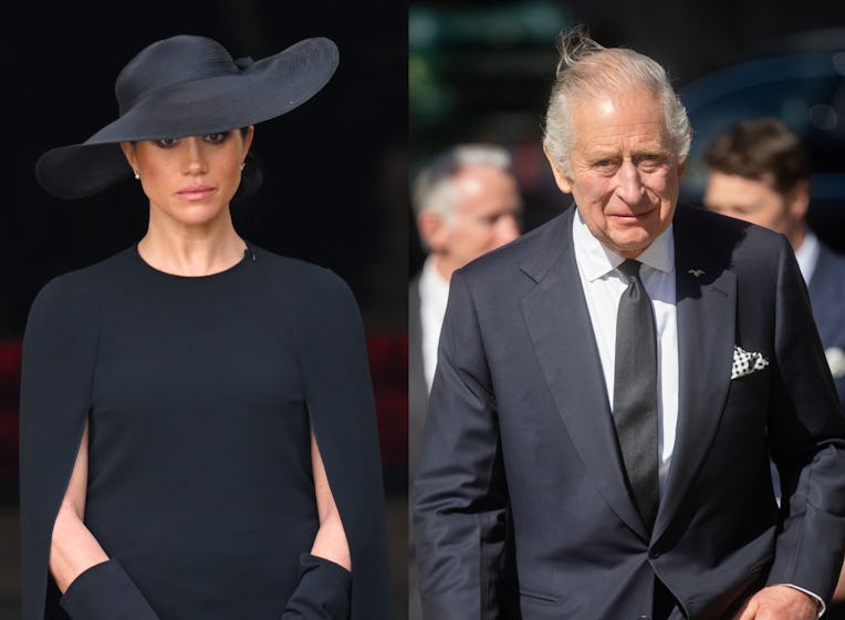 Meghan Markle next to King Charles.