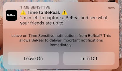 TikTok Now Vs. BeReal Reveals A Few Big Differences