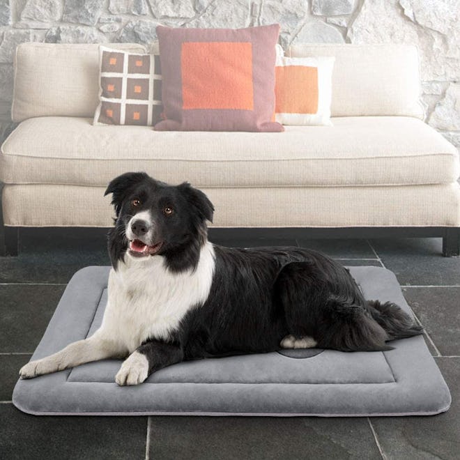 JoicyCo Dog Bed