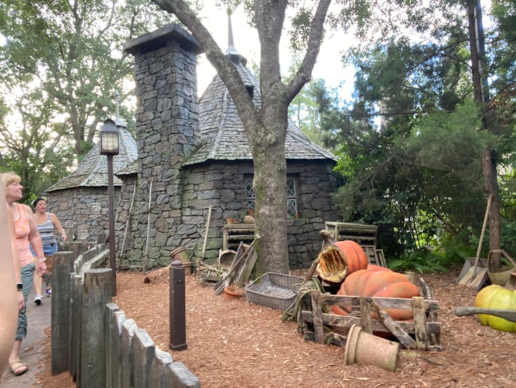 Hagrid's Hut is one of the Easter eggs on Hagrid's motorbike roller coaster at Universal Studios. 