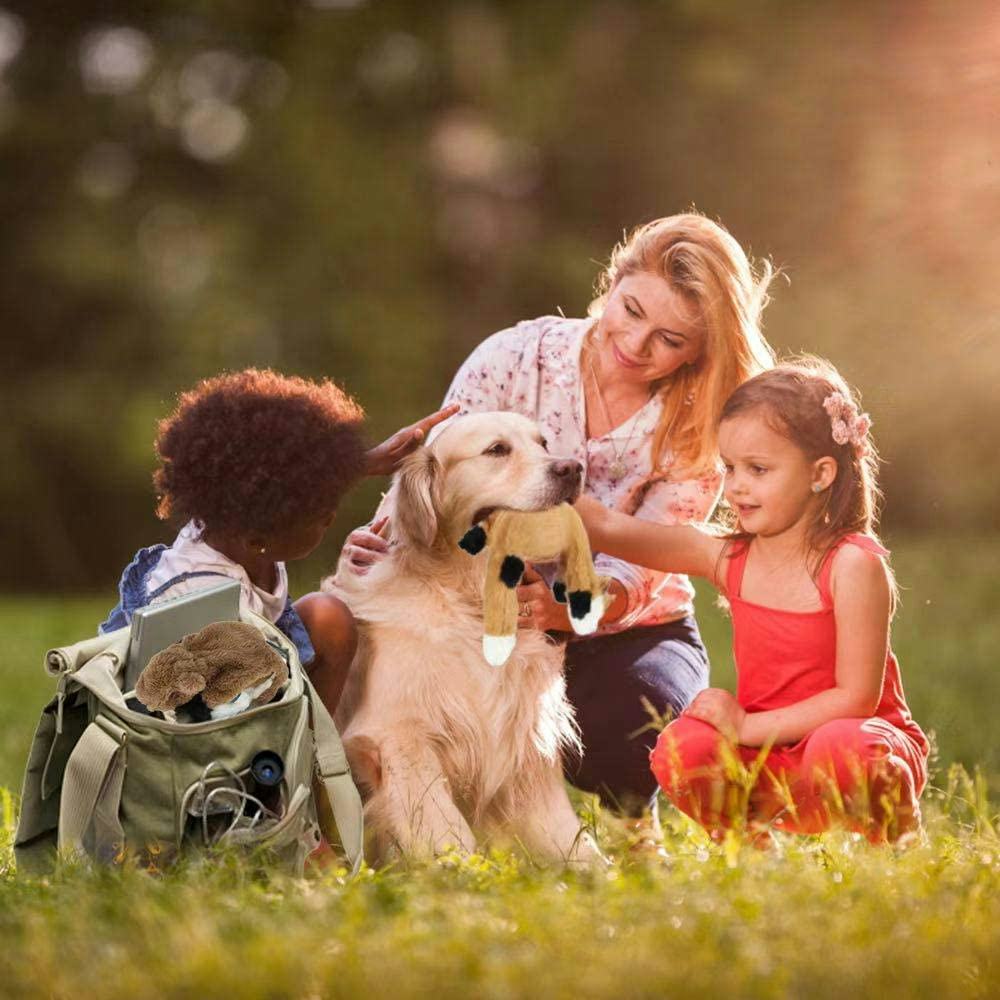 Nocciola Crinkle Squeaky Dog Toys