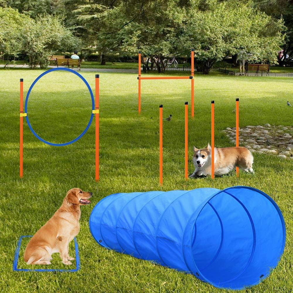 XiaZ Dog Agility Training Starter Kit