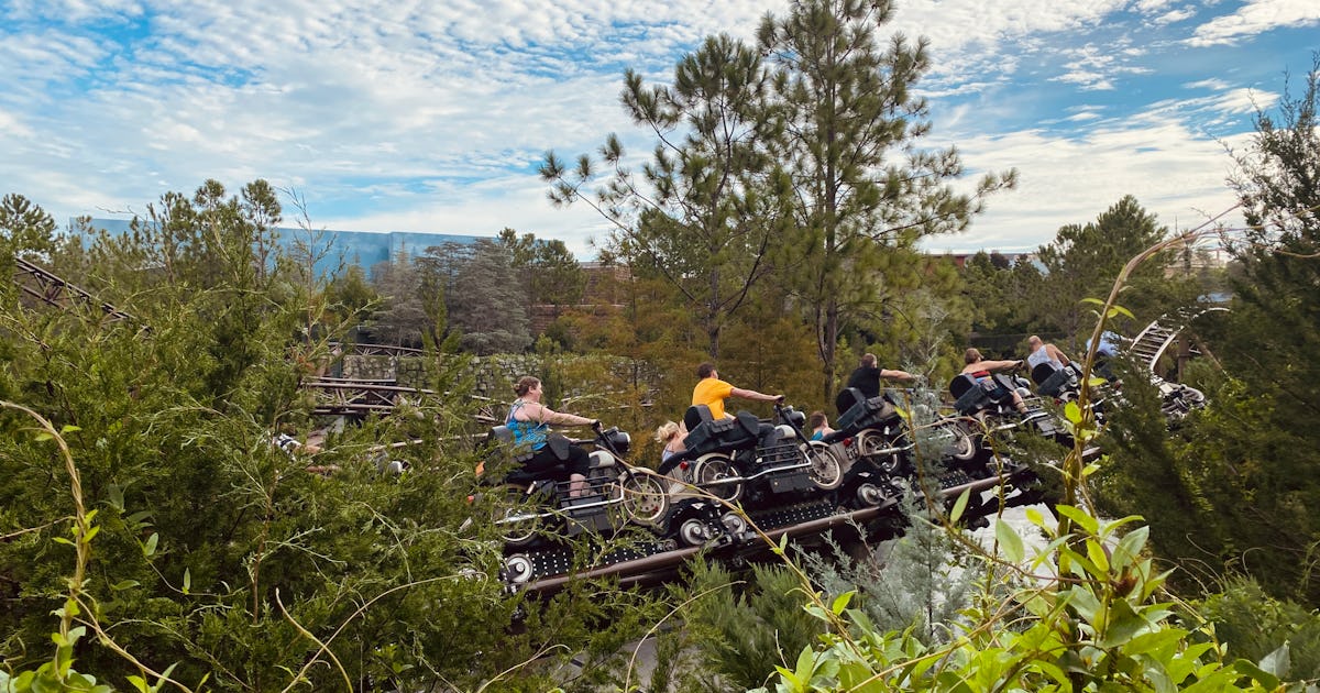 12 Hidden Details In Hagrid’s Motorbike Roller Coaster You Don't Want ...