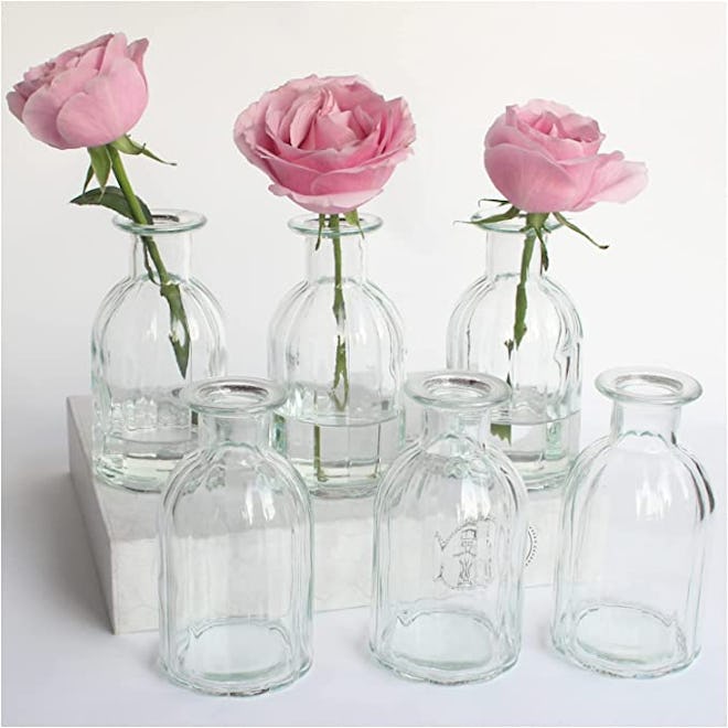 HANIHUA Glass Bud Vases (Set of 6)