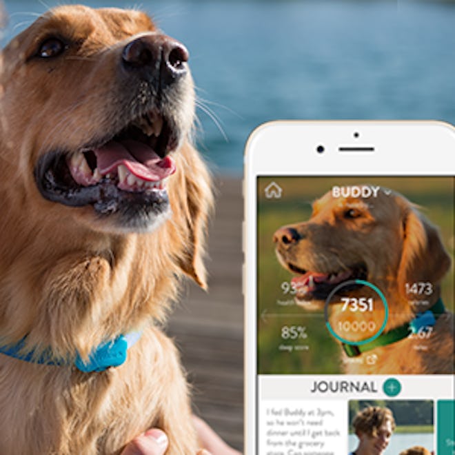 FitBark Health & Fitness Tracker