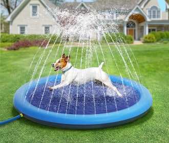In addition to the best dog toys for water, you might consider getting the Peteast Splash Pad.