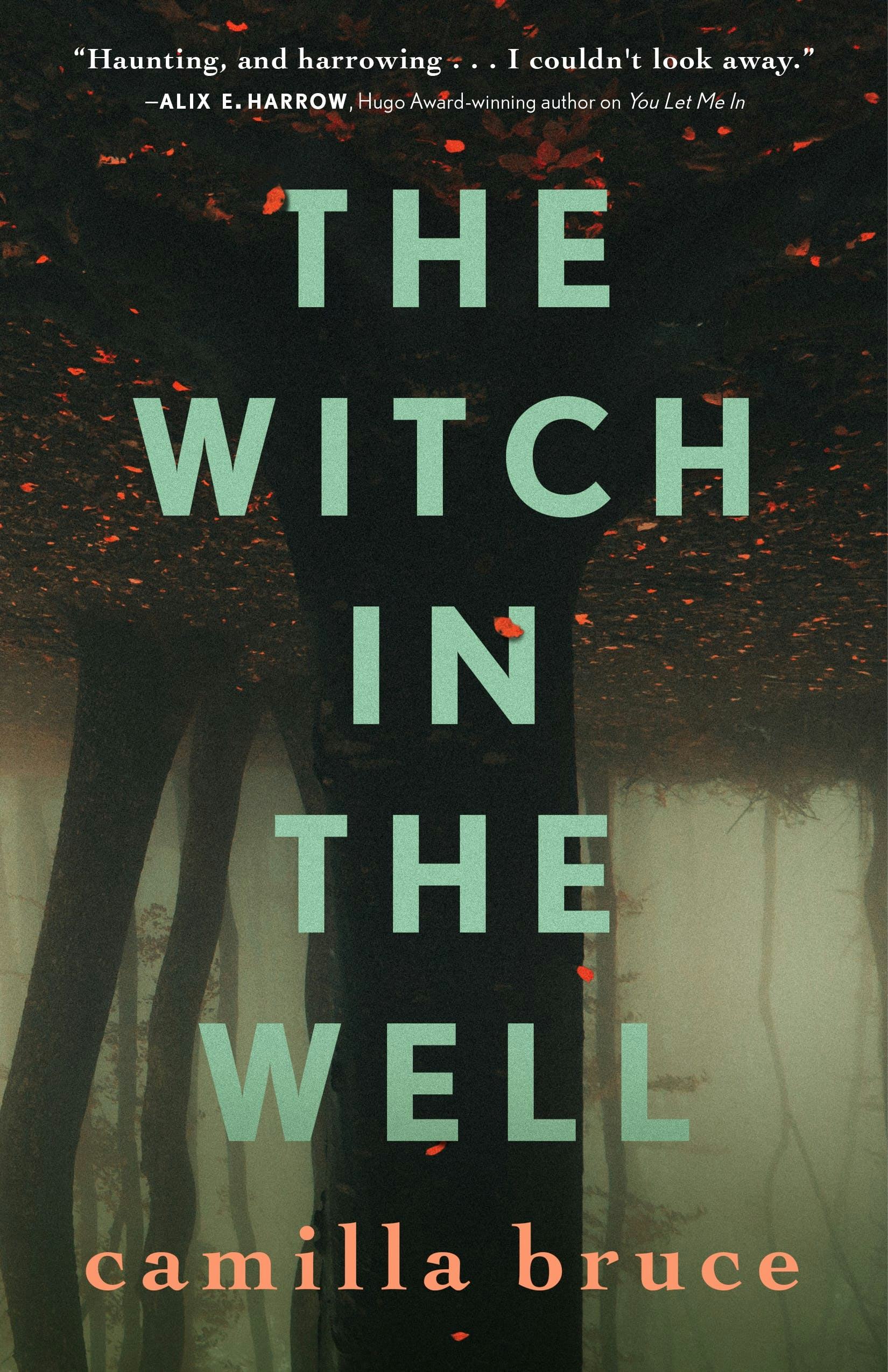 &lsquo;The Witch in the Well&rsquo; by Camilla Bruce