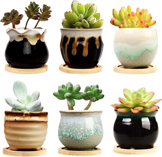 Brajttt Ceramic Succulent Planter Pot with Drainage