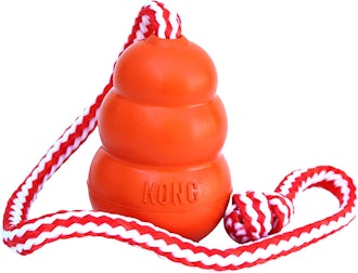 With a buoyant design and knotted rope, the KONG Aqua is one of the best dog toys for water.